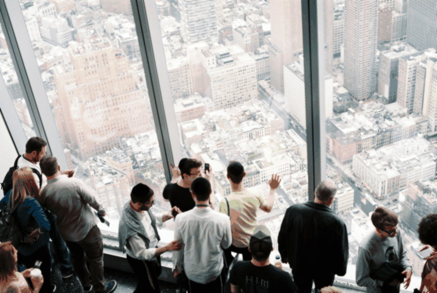 Performance review, liquidity optimization, forecast charts, business